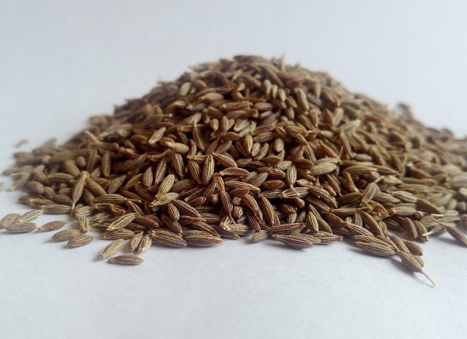CUMIN SEED